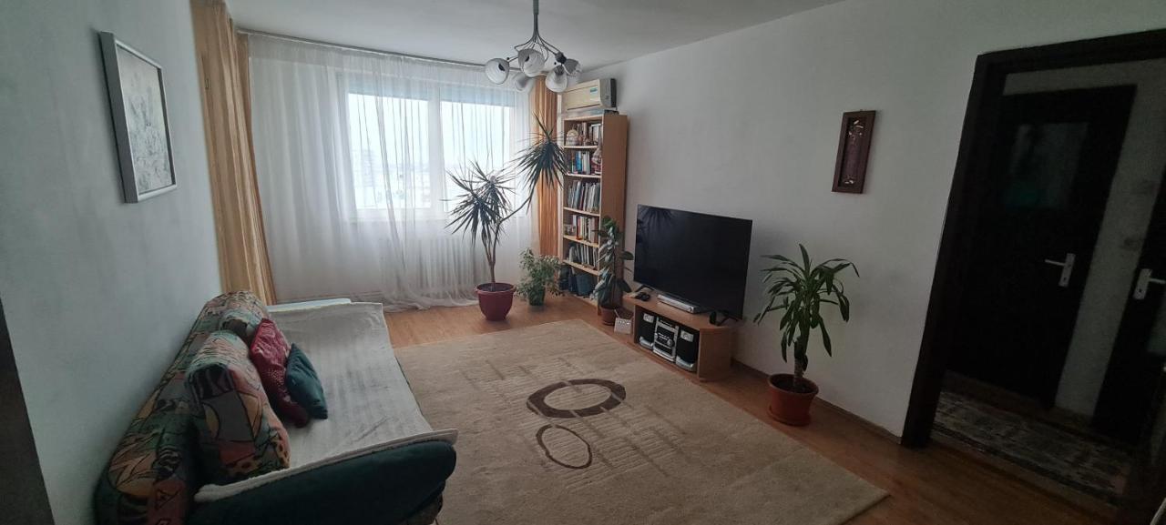 布拉索夫Casa Lazar公寓 外观 照片
